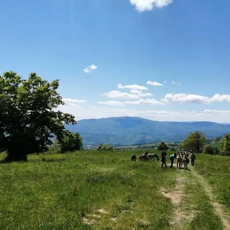 Fattoria Di Germagnano * Sansepolcro